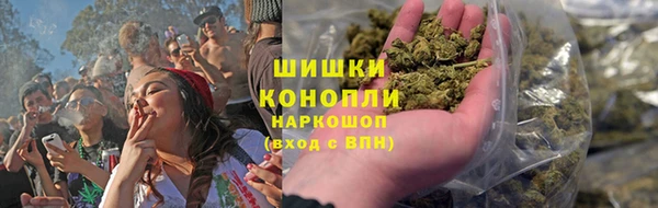 шишки Гусь-Хрустальный