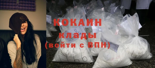 шишки Гусь-Хрустальный