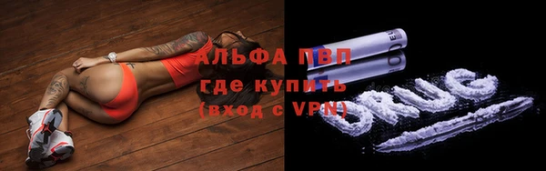 прущая мука Дмитриев