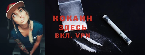прущая мука Дмитриев