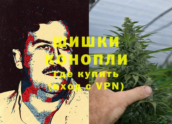 a pvp Ельня