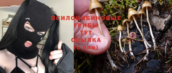 прущие крисы Дмитров