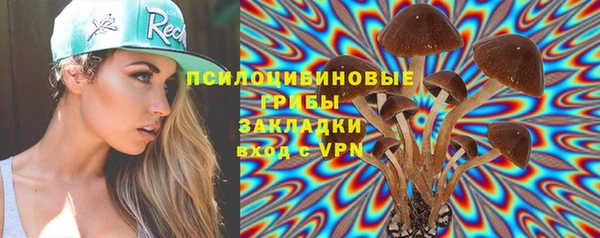 таблы Каменка
