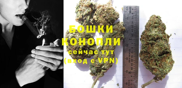 МДПВ Лиски